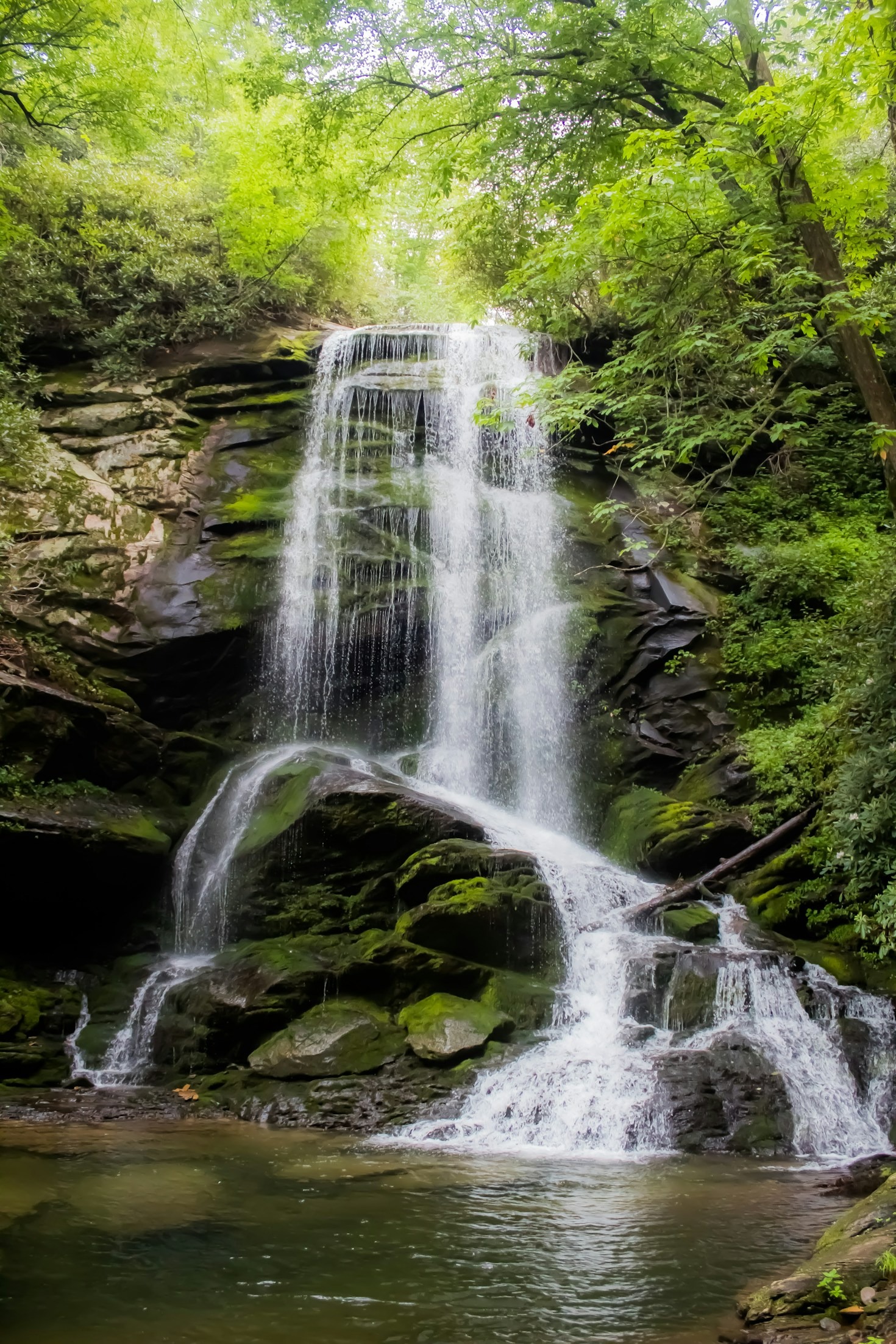 Beginner-Friendly Hiking Trails Around Knoxville