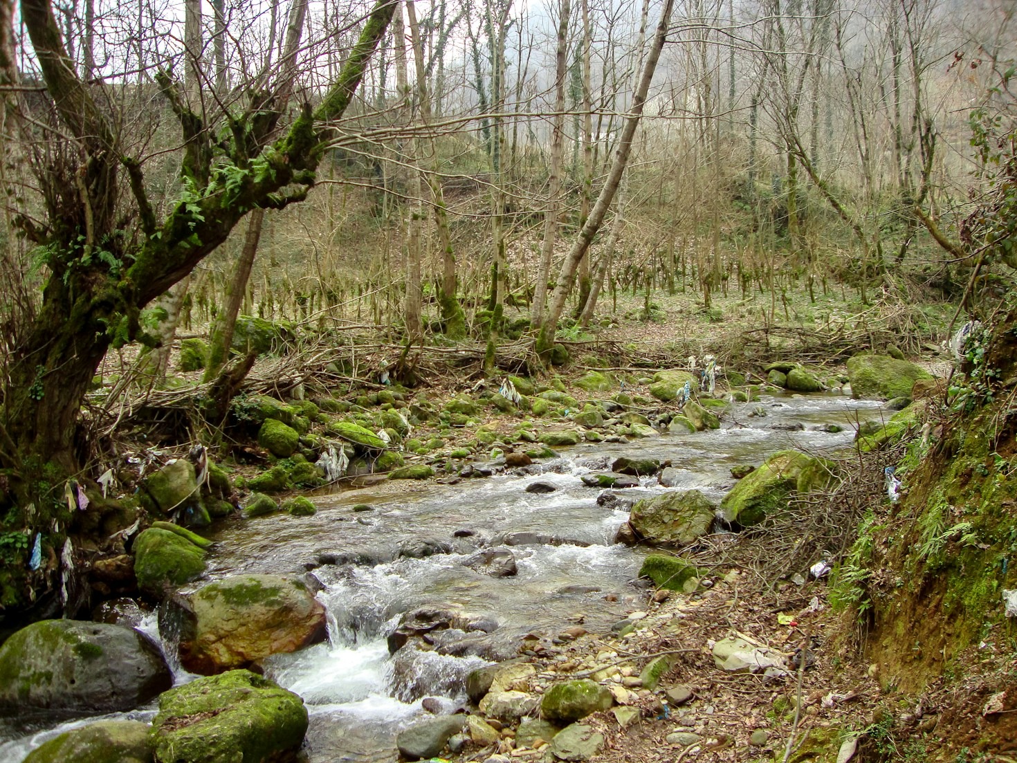 The Best Hidden Gems for Nature Lovers