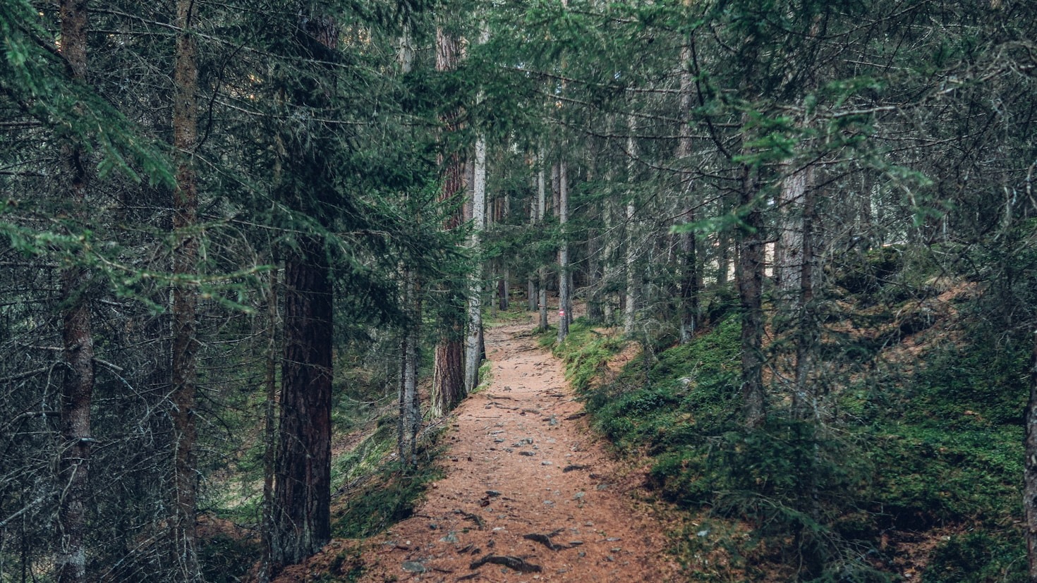 How to Plan a Peaceful Nature Escape